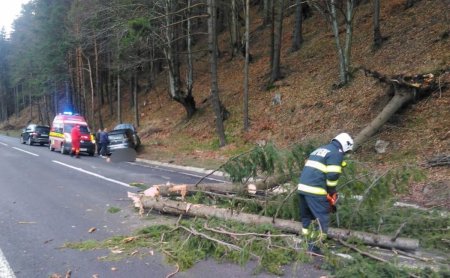 Un copac a cazut peste o masina aflata in mers, in Bistrita-N<span style='background:#EDF514'>ASAU</span>d. Trei copii, dusi la spital
