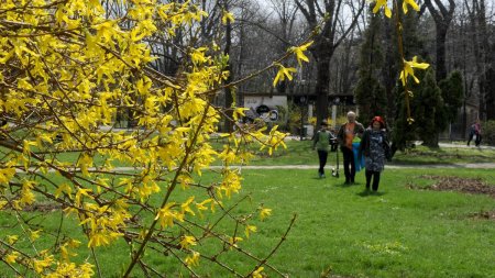 Prognoza pentru luna aprilie: Cum va fi vremea de Florii