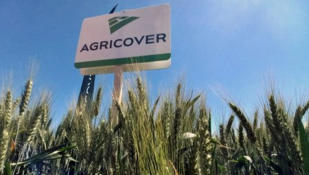Bursa. Agricover Holding, cu BERD in actionariat, vrea sa dea actionarilor dividende de 30 mil. lei din profiturile nedistribuite din anii anteriori