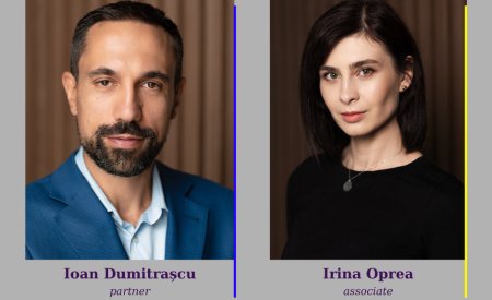 Opinie Ioan <span style='background:#EDF514'>DUMITRA</span>scu si Irina Oprea, Filip&Company: Drumul catre sustenabilitate, un scurt ghid pentru antreprenori din perspectiva CSRD