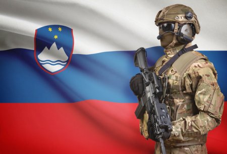 Ministrul Apararii:Romania ar aprecia in mod deosebit o contributie cu trupe a Sloveniei in tara noastra