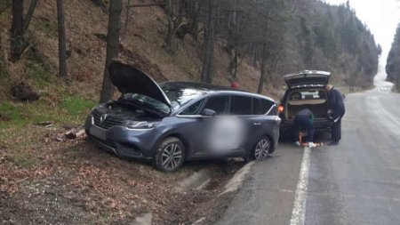 Copac doborat de vant peste o masina in care se afla o familie cu cinci copii, pe DN17