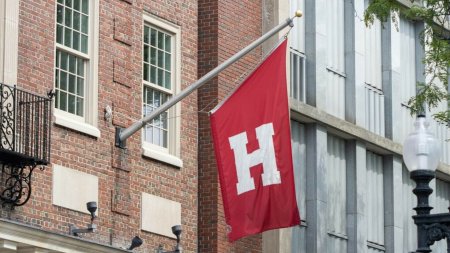 Un elev de liceu d<span style='background:#EDF514'>IN HUNEDOARA</span>, olimpic international la informatica, a fost admis la Universitatea Harvard