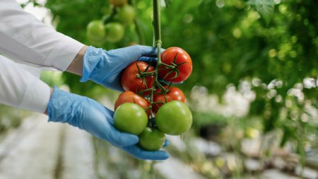 Care sunt fructele si <span style='background:#EDF514'>LEGUMELE</span> stropite cu pesticide cel mai des. Masuri pentru a te feri de alimentele cu pesticide