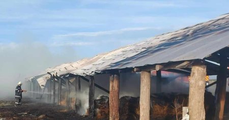 Incendiu devastator la Arad: persoana arsa la maini si 50 de ovine moarte in flacari