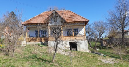 Casa eroinei Elisabeta Rizea, femeia care le-a tinut piept comunistilor, restaurata cu greu, din donatii