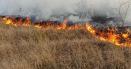 Peste 100 de hectare de vegetatie uscata si plantatie <span style='background:#EDF514'>SILVIC</span>a au fost distruse de un incendiu la Vaslui. De la ce a pornit focul