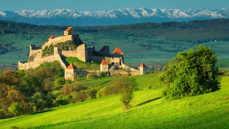 Reabilitarile care ne distrug istoria. N-au nicio logica, desteptii au strapuns zidurile, le-au ciuruit cu gauri