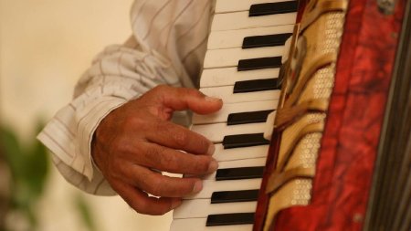 Povestea lui Fanel, romanul care canta la acordeon pe strazile din Italia: Vreau ca fiicele mele sa aiba o educatie