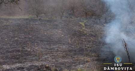A ars Valea Doftanei. Pompierii s-au luptat cu flacarile pe o suprafata de 6 hectare