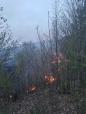 Incendiu de vegetatie pe 50 de hectare, in comuna Soimari din Prahova. Vantul ingreuneaza misiunea pompierilor