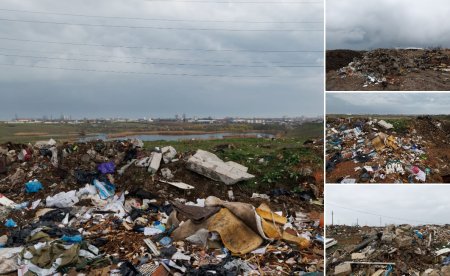 REPORTAJ O arie protejata Natura 2000 de la marginea Mangaliei a devenit depozit de deseuri: Aduc <span style='background:#EDF514'>GUNOAIE</span>le cu masini mari, de la firme!. Ministerul Mediului stie din 2020