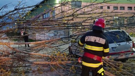 <span style='background:#EDF514'>VREMEA REA</span> face prapad in tara: acoperisul unui bloc a fost spulberat si mai multi copaci au fost doborati de vant, la Hunedoara