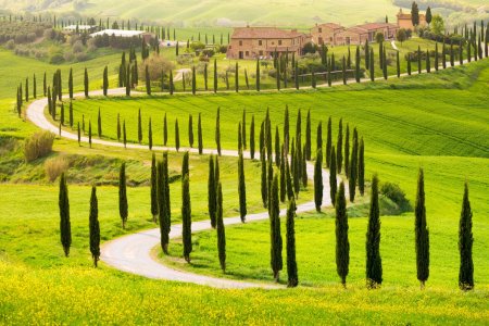 Curiozitati despre Toscana
