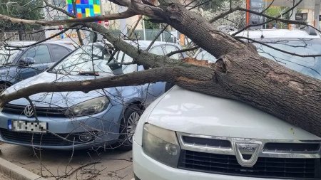Alerta in Bucuresti, dupa ce vantul a doborat copaci pe masini si a <span style='background:#EDF514'>SPULBERA</span>t panouri publicitare