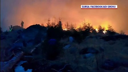 Incendiu de padure in Muntii <span style='background:#EDF514'>FAGARAS</span>. Pompierii trebuie sa mearga pe jos mai bine de doua ore ca sa ajunga la flacari