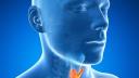 Importanta hormonilor tiroidieni pentru organismul uman