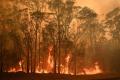 Bacau: Doua aeronave intervin pentru stingerea unui incendiu care afecteaza 20 de hectare de padure