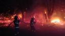 Incendiu de proportii intr-o padure din Galati. Flacarile s-au extins pe 10 hectare | GALERIE FOTO & VIDEO