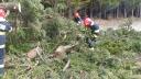 Bilantul furtunii: Copaci doborati, stalpi cazuti, case si masini avariate in 86 de localitati din 27 judete si Capitala