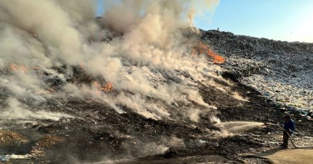 Un incendiu de amploare in padurea din Frumusita din judetul Galati | VIDEO