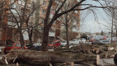 Vantul cu putere de uragan a facut ravagii in Romania: a distrus zeci de case si masini, a rupt sute de copaci si a bagat un om in coma