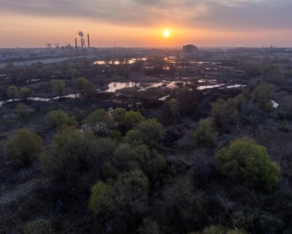 Actiune de ecologizare, sambata, in Delta Vacaresti