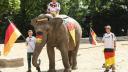 Bot<span style='background:#EDF514'>SWAN</span>a vrea sa trimita 20.000 de elefanti in Germania: 