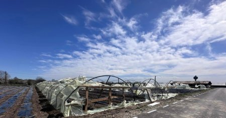 Fermierii <span style='background:#EDF514'>BATUTI</span> de vant: Cu natura nu te pui. De ce nu-si asigura legumicultorii solariile VIDEO