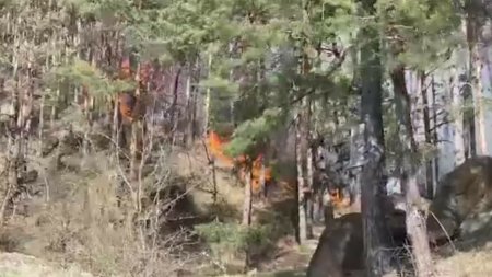 Incendiul de padure din Targu Ocna inca nu a putut fi stins. La varsta pe care o avem ti-e teama. Ardeam ca <span style='background:#EDF514'>SOBOLANI</span>i