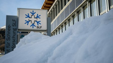 Ninsorile abundente din Suedia au paralizat <span style='background:#EDF514'>TRAFICUL RUTIER</span>. Reactia soferilor. Guvernul este inca in vacanta de Paste