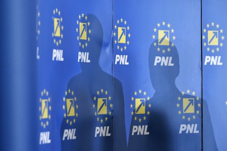 Fricosii din PNL. Ce lideri importanti din partid evita sa candideze la alegerile locale  