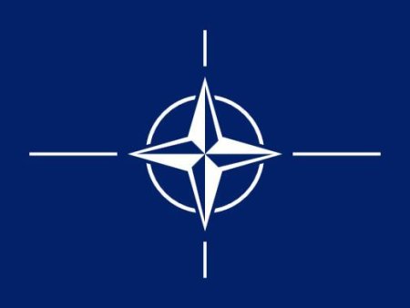 Reuniune a ministrilor de Externe ai tarilor din NATO, la a 75-a <span style='background:#EDF514'>ANIVERSARE</span> a aliantei