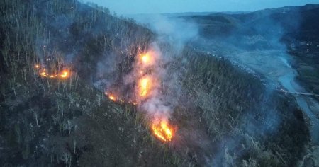 Incendiu devastator in padurile de la Targu Ocna si Dofteana. Focul arde de patru zile si s-a intins deja pe 80 de hectare FOTO