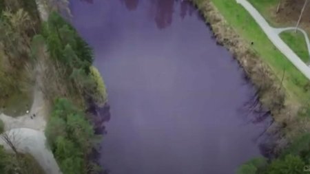 Nu am mai vazut asa ceva. Un lac din Germania a devenit violet. Care este explicatia