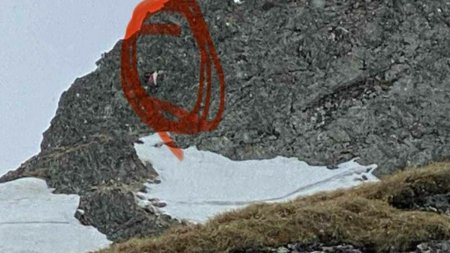 Ce au auzit salvamontistii din zona unui perete muntos, in <span style='background:#EDF514'>MUNTII FAGARAS</span>. Actiunea este in desfasurare| VIDEO