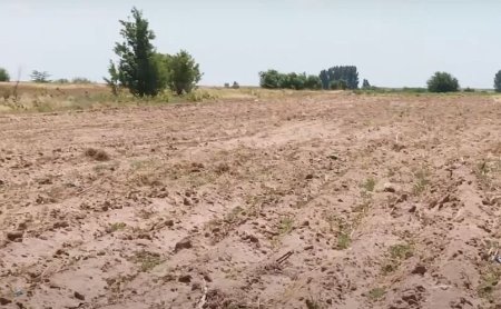 <span style='background:#EDF514'>MINISTRUL MEDIULUI</span>, Apelor si Padurilor: In Sahara Olteniei, pierdem anual 1.000 de hectare de terenuri arabile