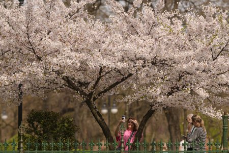 Cum va fi vremea de Paste. Prognoza meteo pentru urmatoarele patru saptamani