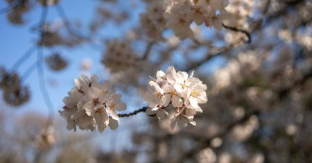 Vine vara inca din aprilie. Elena Mateescu, director ANM, prognoza meteo pentru urmatoarele zile