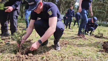 Luna Padurii, sarbatorita in stil mare. Politisti, jandarmi si copii au plantat puieti in <span style='background:#EDF514'>PADUREA</span> din Fantanele