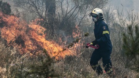 Primul mare incendiu de <span style='background:#EDF514'>VEGETA</span>tie din acest sezon face ravagii in Grecia. Sute de persoane, evacuate de pe o mare insula