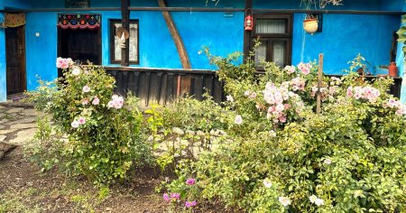 <span style='background:#EDF514'>REPORTAJ</span> Povestea femeilor care au creat Casa Albastra din Marin, satul unde se recreeaza nunti vechi FOTO