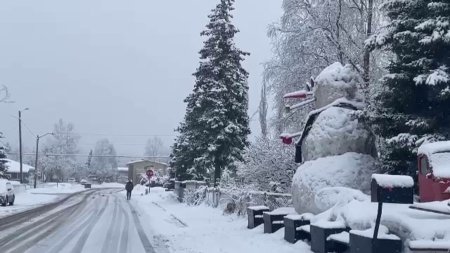 Cum arata Snowzilla, omul de zapada de sase metri <span style='background:#EDF514'>INALTIME</span> din Alaska. Localnicii l-au construit in toiul primaverii