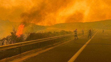 Nivel de alerta ridicat <span style='background:#EDF514'>IN GRECIA</span>. 71 de incendii de vegetatie au izbucnit sambata