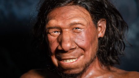 Esti sau nu esti neandertalian? 6 trasaturi care te ajuta sa-ti dai seama