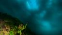 VIDEO. Ce a descoperit un robot subacvatic pe fundul Lacului Baikal din Rusia, cel mai vechi din lume