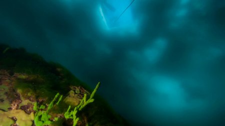 VIDEO. Ce a descoperit un robot subacvatic pe fundul <span style='background:#EDF514'>LACUL</span>ui Baikal din Rusia, cel mai vechi din lume