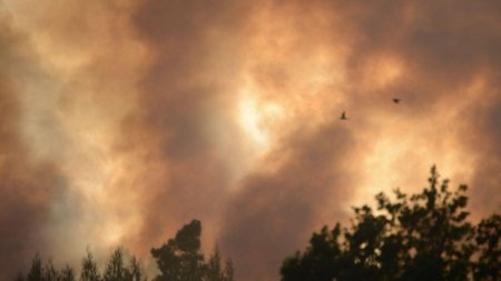 Incendiu puternic in Capitala. Un depozit din Sectorul 1 a luat foc. Se intervine cu 16 <span style='background:#EDF514'>AUTOSPECIALE</span>