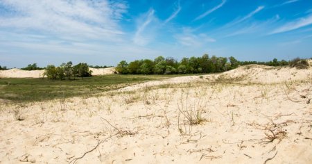 Desertificarea ameninta viitorul agriculturii din Romania. Mircea Fechet: Vom avea o clima foarte similara cu a Greciei