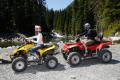 Brasov: 10 persoane care faceau off-road in padure, sanctionate de jandarmi